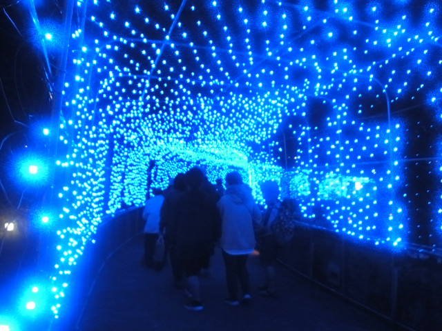 津久井湖城山公園（イルミネーション）